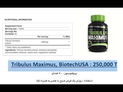 Tribulus Maximus, BiotechUSA 